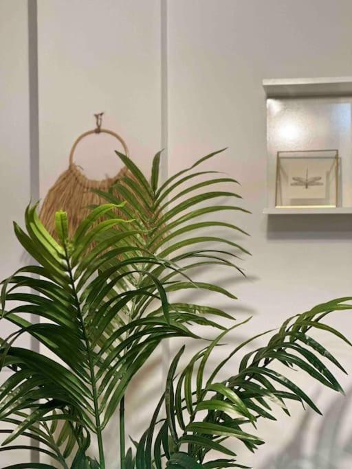 Apartamento El Picu Кольянсо Экстерьер фото