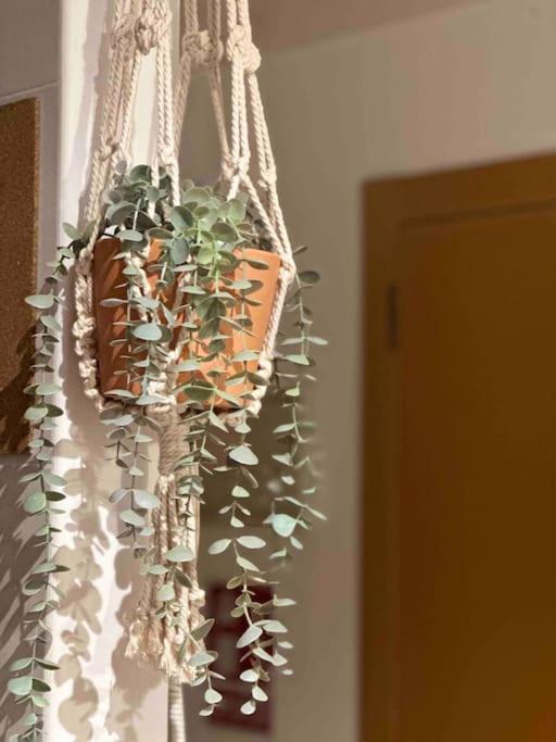 Apartamento El Picu Кольянсо Экстерьер фото
