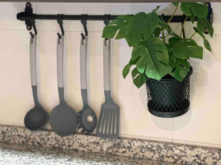 Apartamento El Picu Кольянсо Экстерьер фото