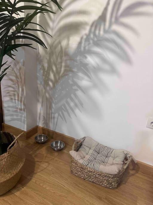 Apartamento El Picu Кольянсо Экстерьер фото